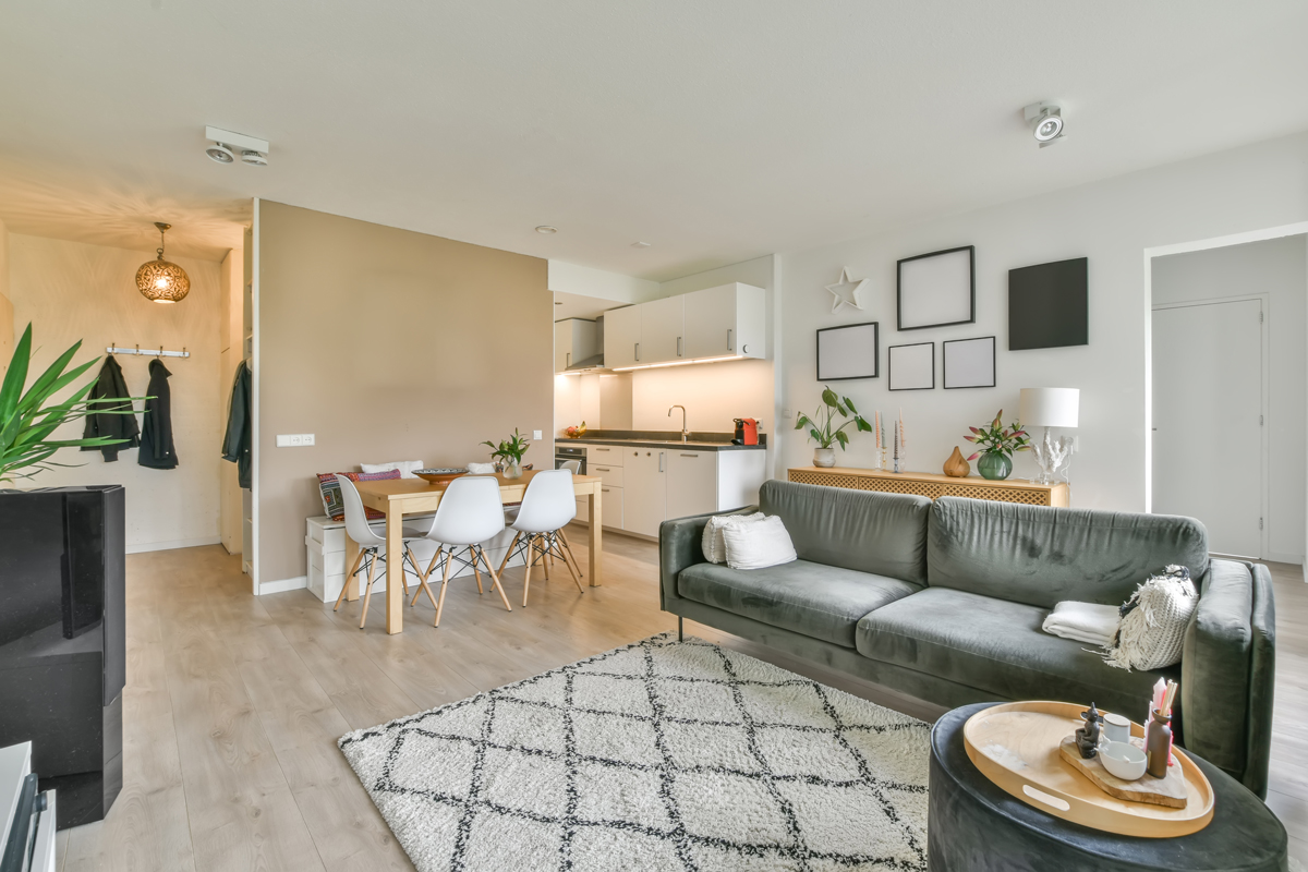Modern living room and kitchen with light wood flooring, a green sofa, dining table with white chairs, and a patterned rug. Plants and decor items are placed on a sideboard and table, creating a cozy, inviting atmosphere. | Studio 99 Multimedia